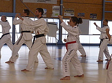 p4040459.jpg