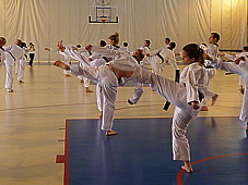 p4040721.jpg