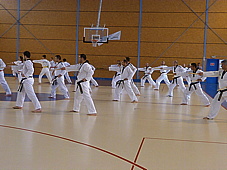 p4040979.jpg