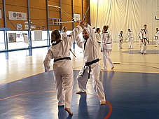 p4050588.jpg