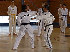p4050751.jpg