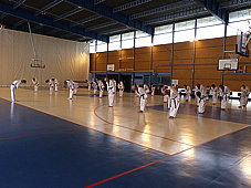 p4060258.jpg