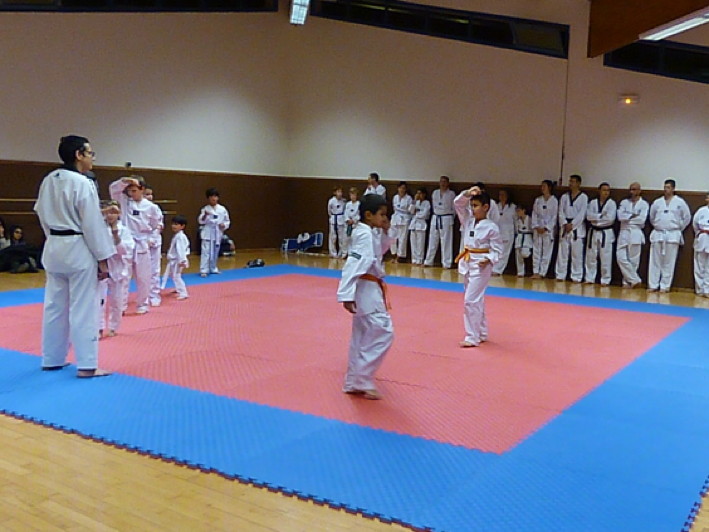 p4280495.jpg