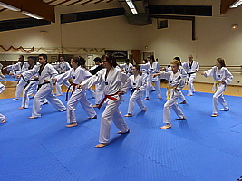 p4890749.jpg