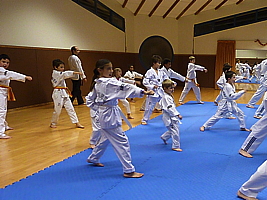 p4890775.jpg