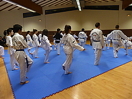 p4890803.jpg