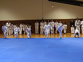 p4890823.jpg