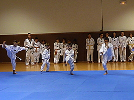 p4890828.jpg