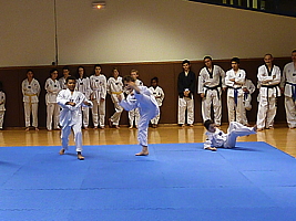 p4890831.jpg