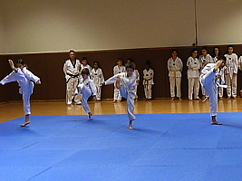 p4890834.jpg