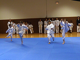 p4890839.jpg