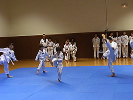p4890842.jpg