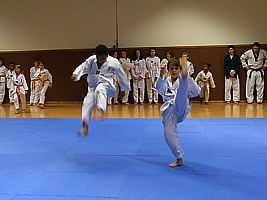 p4890850.jpg