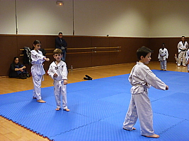 p4890851.jpg