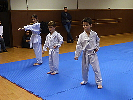p4890856.jpg