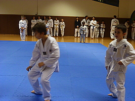 p4890864.jpg
