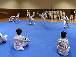 p4890871.jpg