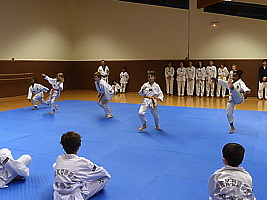 p4890874.jpg