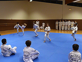 p4890876.jpg