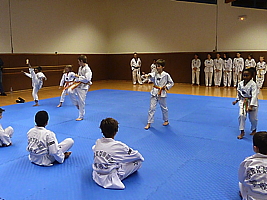 p4890891.jpg