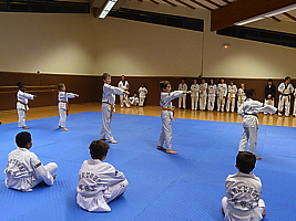 p4890902.jpg