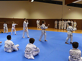 p4890909.jpg