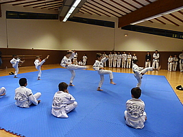 p4890922.jpg