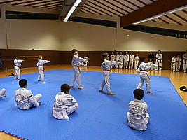 p4890927.jpg