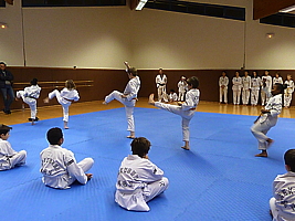 p4890931.jpg