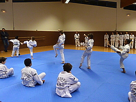 p4890933.jpg