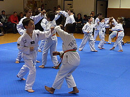 p4890956.jpg