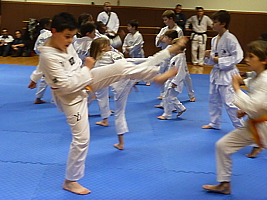 p4900223.jpg