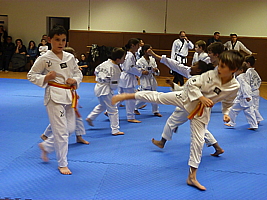 p4900233.jpg