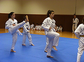 p4900363.jpg