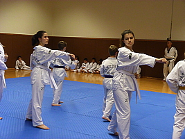 p4900369.jpg