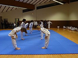 p4900384.jpg