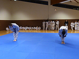 p4900515.jpg