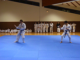 p4900517.jpg