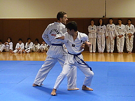 p4900571.jpg