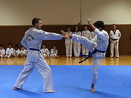 p4900581.jpg