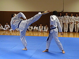 p4900633.jpg