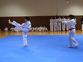 p4900686.jpg