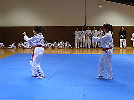 p4900699.jpg