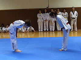 p4900724.jpg