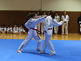 p4900735.jpg