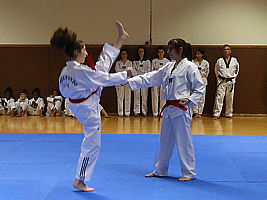 p4900761.jpg