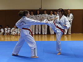 p4900784.jpg