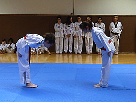 p4900806.jpg