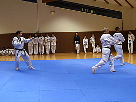 p4900814.jpg