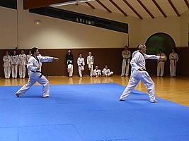 p4900828.jpg